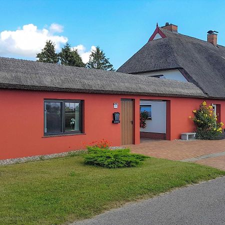 Ferienwohnung Im Roten Haus Stahlbrode Экстерьер фото